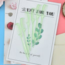 5pcs eye beauty plastic brush eyebrow comb eyebrow brush eyelash extens gxTOCA