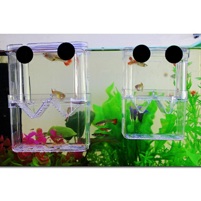 Fish Incubator Aquarium Fish Isolation Box Accessories Duraduro Compliments