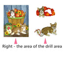 5D DIY Diamond Painting Cats Fruits Cross Stitch Embroidery Rhinestones Kit