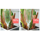 3Pcs Automatic Garden Sprinklers Water Spike Irrigation Self Water-dropperB Gw