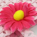 Nice Charm Princess Girl Straw Hat and Flower decoration Handbag (Pink) S2X8