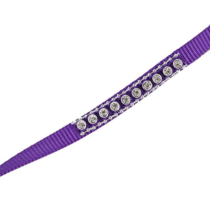 Pet Dog Puppy Adjustable Training Harness Leash Traction Rope Purple