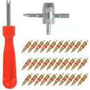 30pcs Brass Valve Cores with Car Bike Tire Valve Core Remover + 4 Way Tool