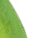 Funny Green Frog Animal Balloons Foil Walking Pet Gifts for Boy Girl Kid Toys MO