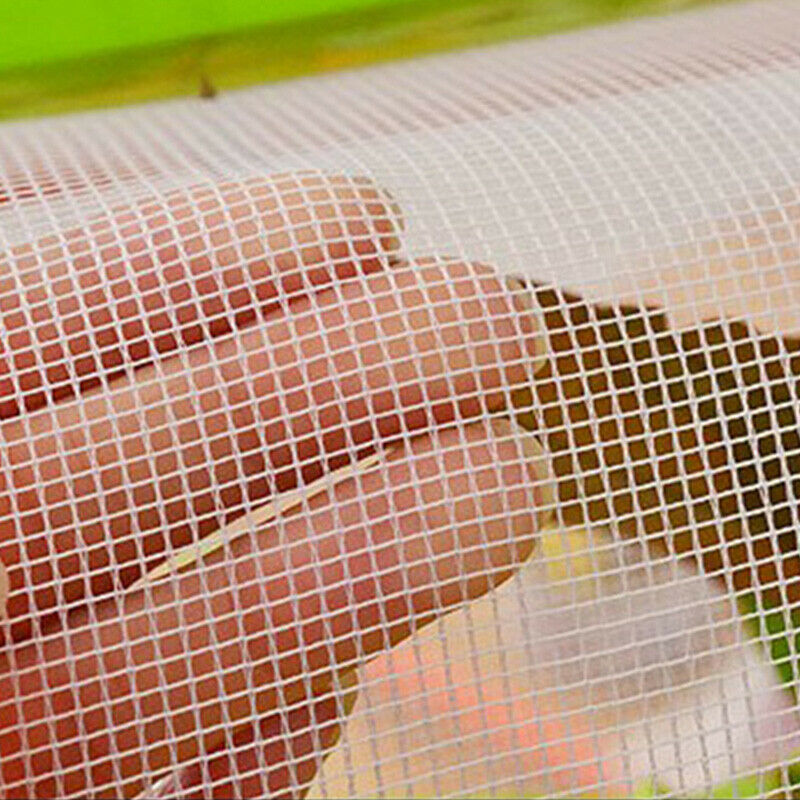 Bug Box Small Pet Observation Box Children'S Portable Plastic Bug Cage Box