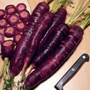 500pcs x pare purple carrot seeds organic vegetable fruit plant garden seeds SP