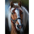 5D DIY Full Drill Diamond Painting Horse Embroidery Mosaic Craft Kit (w572)