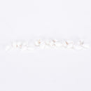 20pcs Mini White Conch Decorations Aquarium Shell Crafts Nautical Decor P ivTEC