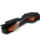 Acoustic Guitar Single Zipper Padded Guitar Soft Case Gig Bag New Backpack LFE