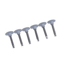6x Dental Lab Product Dental Care Polishing Prophy Brush White Nylon FLat Type3c