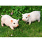 3Pcs Micro Pink Pig Gardening Potted Decor Accessories DIY