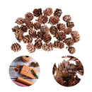 120 Pieces Rustic Natural Decorative Pine Cones Pinecone Dried Flowers for
