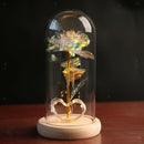 Enchanted Eternal Rose LED Light Beauty Flower Anniversary Mothers Day Gift