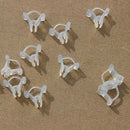 100Pcs Garden Plants Seedling Tools Fruit Vegetable Grafting Clips