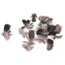 20pcs Caragana Feathers Green Natural Feathers 4-7cm Decor Making Feathers BX