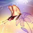 Butterfly Diamond Painting 5D DIY Full Round Drill Mosaic Rhinestone Crafts