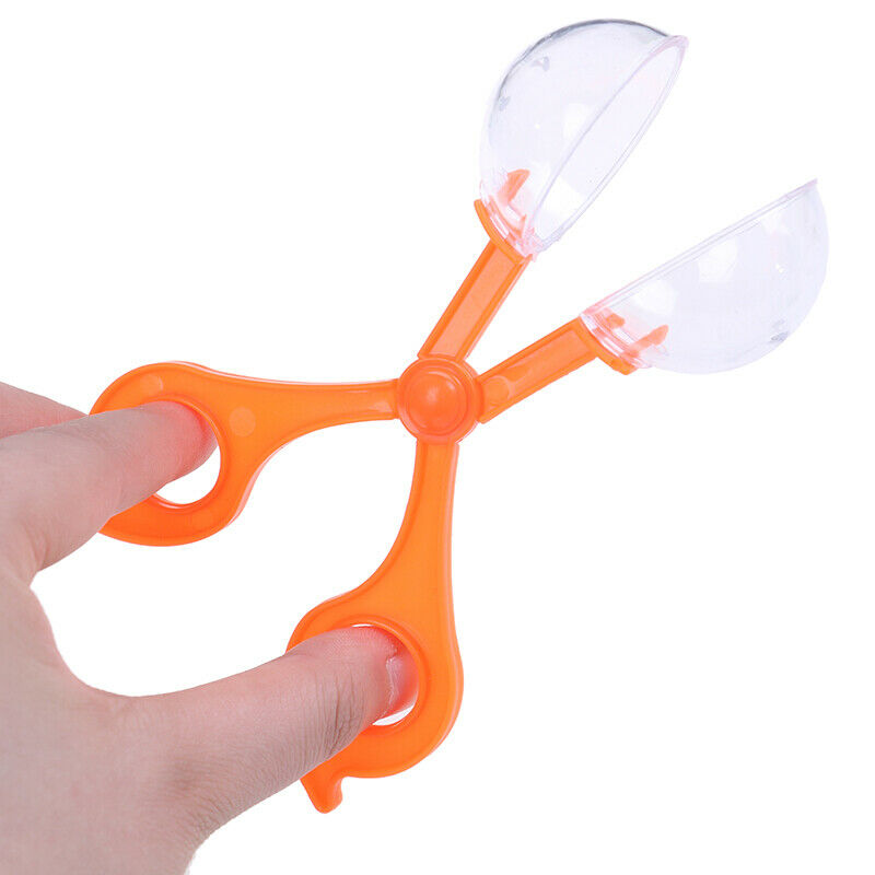 Children School Plant Insect Biology Study Tool Set Plastic Scissor Clamp  OZ