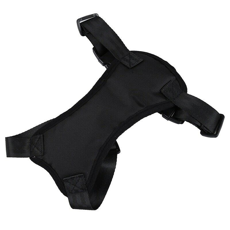 Pet Dog Cat Harness Safety Strap Vest with Car Seat Belt Lead Clip, Free Si