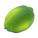 1PCS 9.5CM Artificial Simulation fruit Lemon Kindergarten Garden Family Kit I2B6