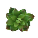 Mini Simulation Succulents Artificial Plants for Home Office Garden Decor