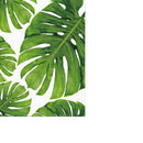 Monstera Leaf Minimalist Nordic Wal Art Poster Canvas Oil Picture Unframed S