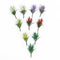 100 Pcs Flowering Plants Landscape Landscape Scale 1: 100