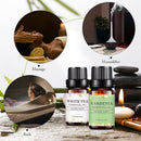 6 Bottles 10ml Essential Aromatherapy Oil Pure Natural Set for Aroma Diffuser