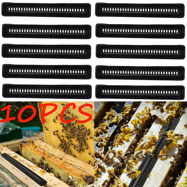 10Pcs Reusable Small Bee Hive BeeHive Beetle Blaster Trap Beekeeping Frame Tool