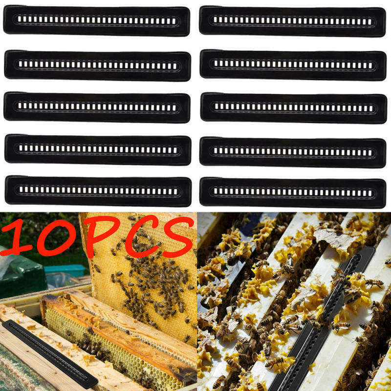 10Pcs Reusable Small Bee Hive BeeHive Beetle Blaster Trap Beekeeping Frame Tool