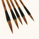 Set of 5pcs Assorted Sizes Chinese Calligraphy Brush Pen Writing Painting Art