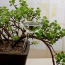 Glass Plant Flowers Water Feeder Self Watering Bird Swan Plant Waterer Devices