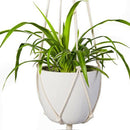 Macrame Plant Hanger 2Pcs Indoor Outdoor Wall Hanging Planter Basket - Cott M3Q9