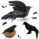 Halloween Crows, 3-Style Realistic Handmade Crow with Glass Bird's Nest, Bl