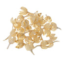 30X Dried Flowers Real Rose Hips for Craft, Wedding Confetti, Floral Art DIY