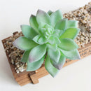 Artificial Plastic Succulent Flocking Plants Home Cafe Floral Decor Crafts