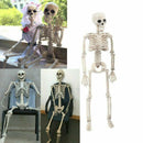 Poseable Human Skeleton Prop Halloween Home Party Decor