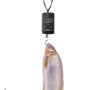 Mini Digital Scale For Fishing Luggage Weighing Hanging Electronic New Hook X1G7