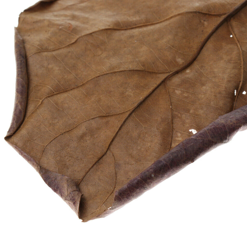60x Aquairum Leaves Catappa Leaf for Fish Tank Water Quality Betta Natural