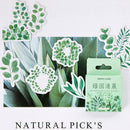 45pcs DIY Green Garden Tree Life Plants Diary Crafts Decor Stickers Scrapbo Q8U7