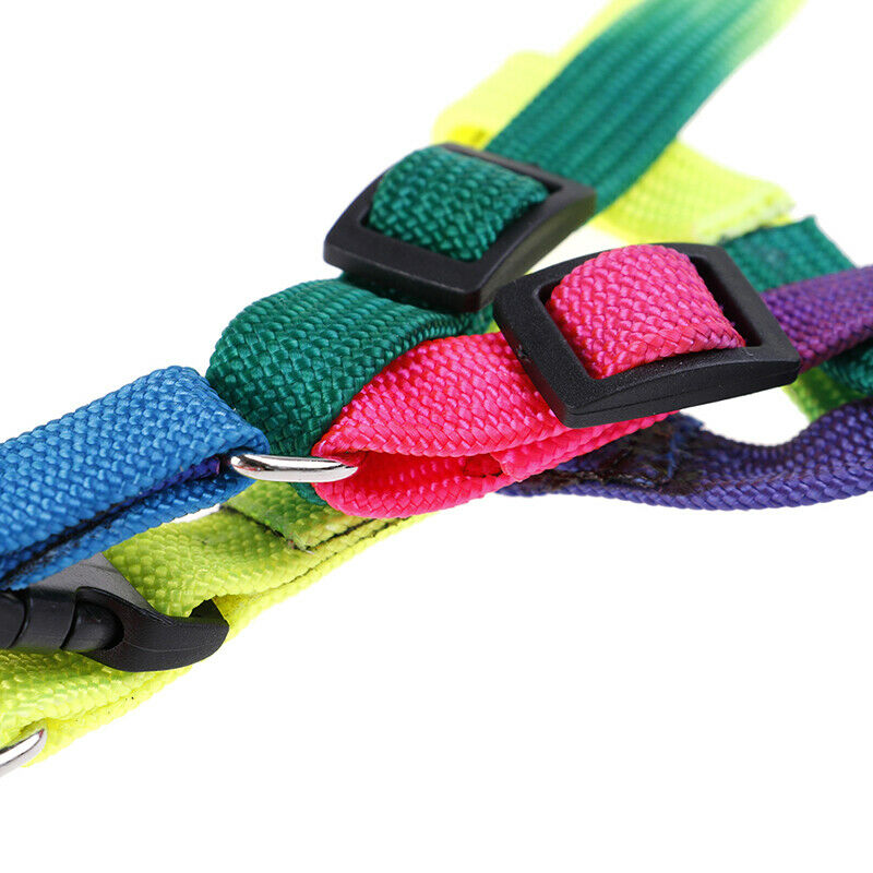 Adjustable Rainbow style Nylon Rabbit Cat Dog collar lead Harness goods for Pets