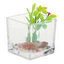 Square Transparent Glass Bowl Clear Vase Fish Turtle Tank Jar Wedding Decor