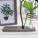 Features With Hydroponic 6 Inch Hanging Double-Sided Photo Frame Creative P