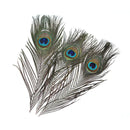 10Pcs Natural Peacock Feathers DIY Jewelry Decoration Plumes Accessories Cr BX