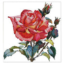 Counted Cross Stitch Kit Rose Flower 14CT Without Pre-printed Fabric 43x44cm