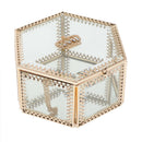 Glass Jewelry Make-up Organizer Box Geometric Terrarium Plants Holder