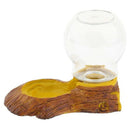 Reptile Amphibians Automatic Waterer Turtle Basin Dish Lizard Water Feeder