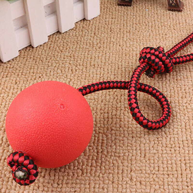 Indestructible Dog Ball on a Rope for Pet Puppy Toys Tug Balls Pet Chew Toys Z
