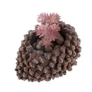 Artificial Foliage Succulent Sedum Hispanicu Plant Weddin Party Vivid Decor