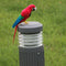Plastic Parrot Garden Statue Creative Decor Gifts Bird Sculpture Ornaments
