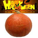 5 IN 1 Halloween Pumpkin Lantern Carving Cutter Stainless Steel Engraving Blade#